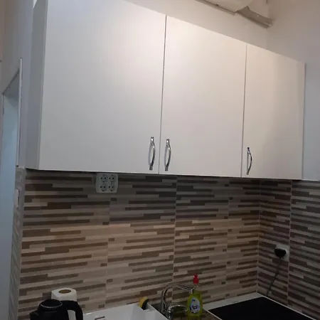 Apartment Studio Pionir 1 *
